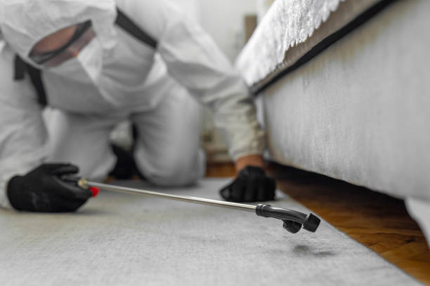Professional Ant Control technician working in Mount Pleasant, IA