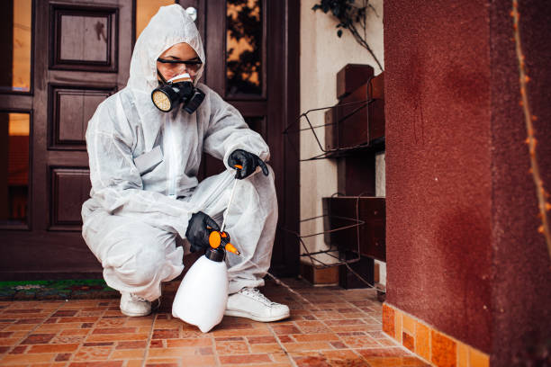 Reliable Ant Control contractor in Mount Pleasant, IA by Nex Pest Control