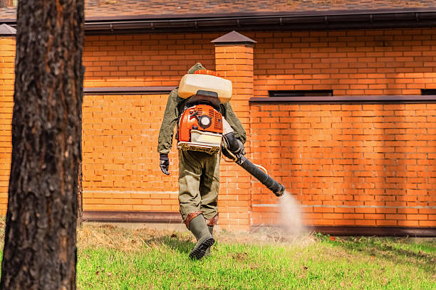 Trusted Ant Control service in Mount Pleasant, IA - Nex Pest Control